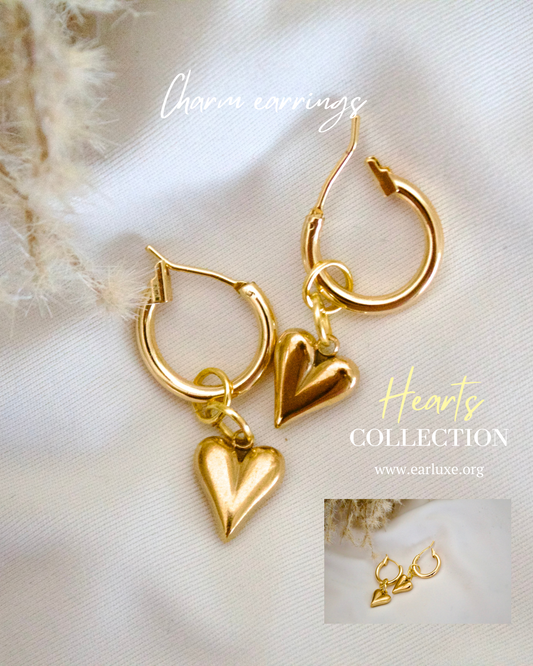 Heart Charm earrings