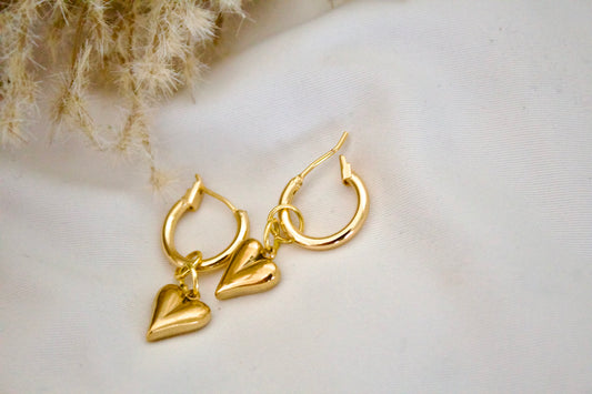 Heart Charm earrings